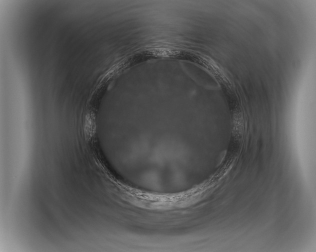 X0000113550043200909181208