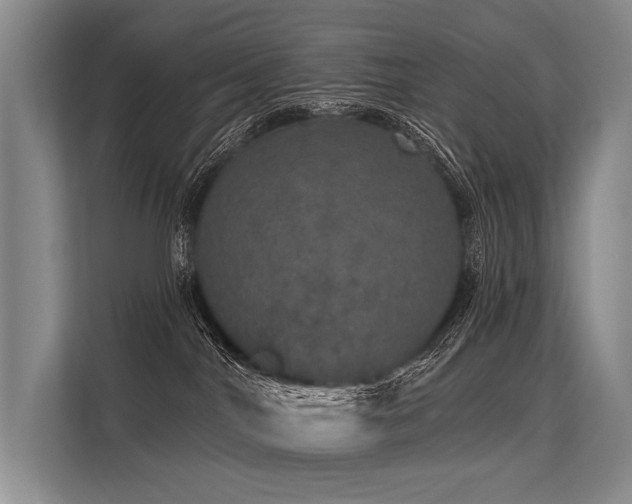 X0000113550044200909181208