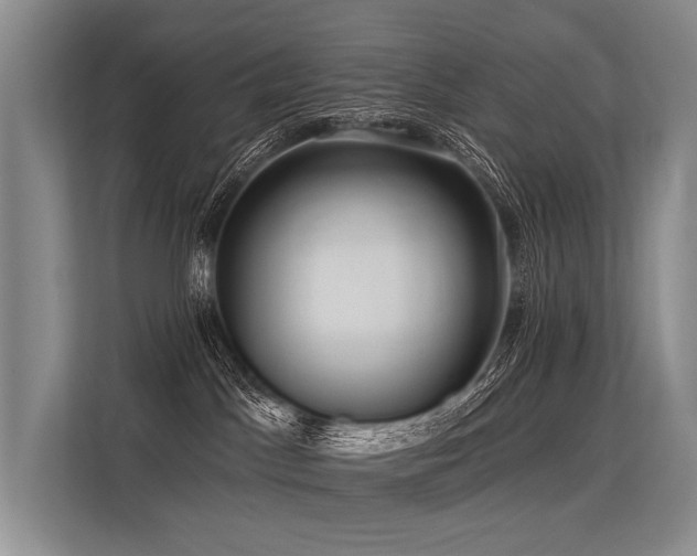 X0000113550045200909181208