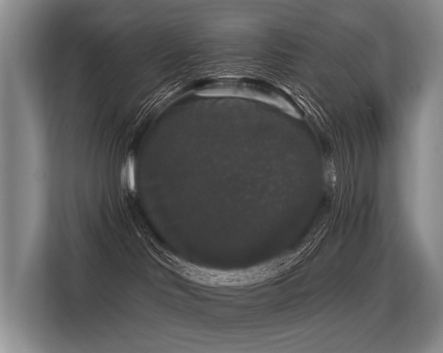 X0000113550046200909181208