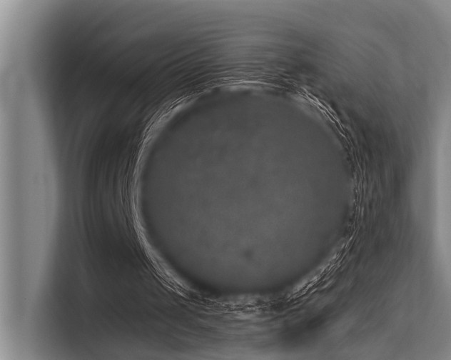 X0000113550049200909181207