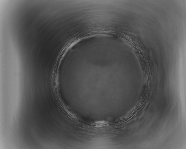 X0000113550050200909181207