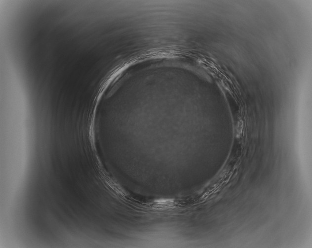 X0000113550052200909181207