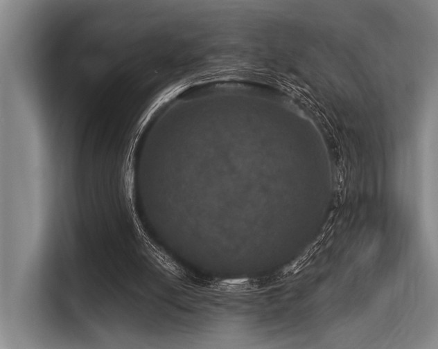 X0000113550054200909181208