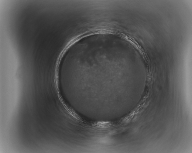 X0000113550055200909181208