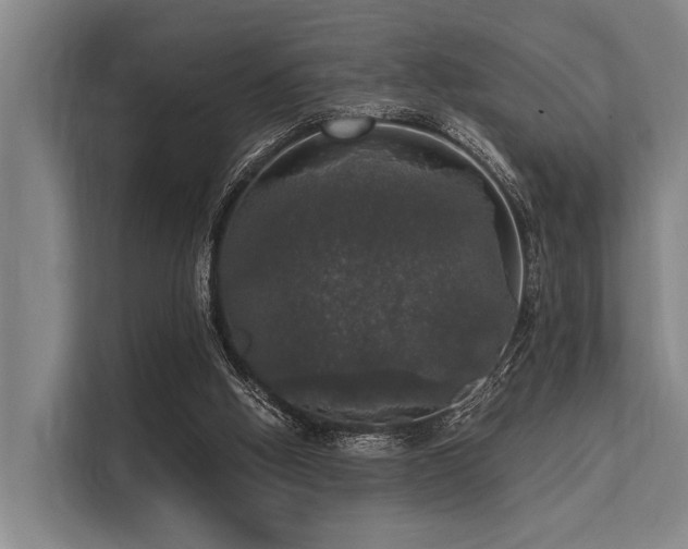 X0000113550058200909181208