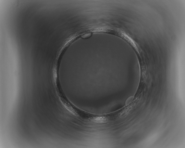 X0000113550059200909181208