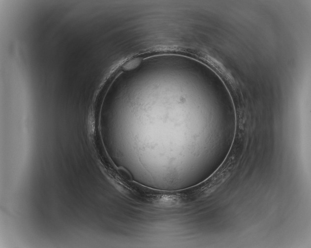 X0000113550060200909181208