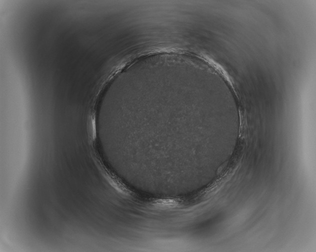 X0000113550061200909181208