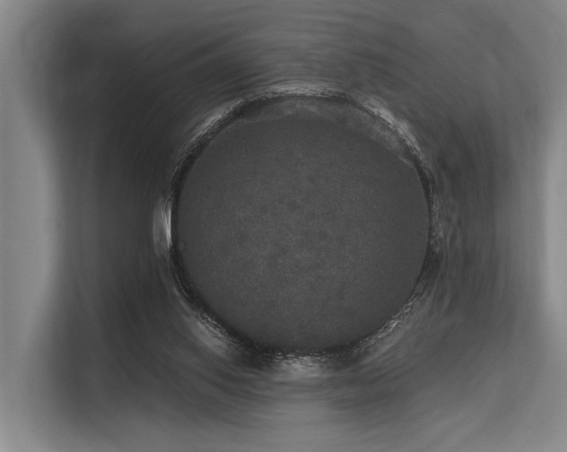 X0000113550062200909181208