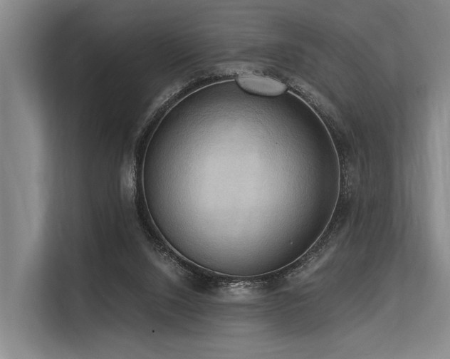 X0000113550064200909181208