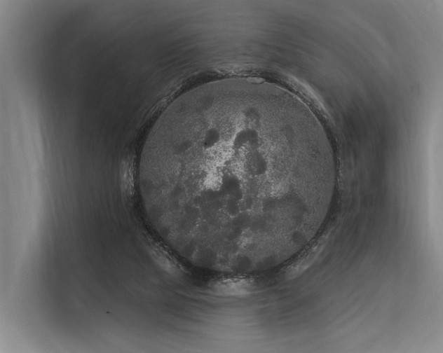 X0000113550065200909181208