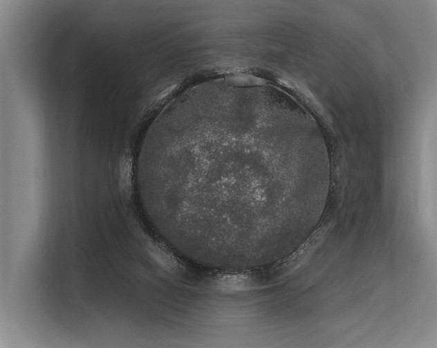 X0000113550066200909181208