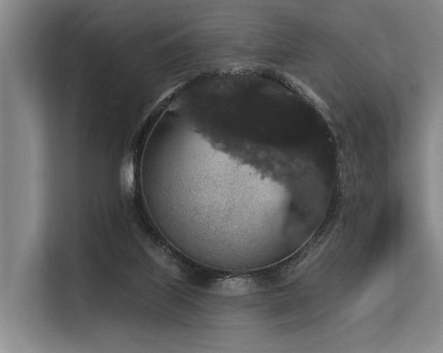 X0000113550067200909181208