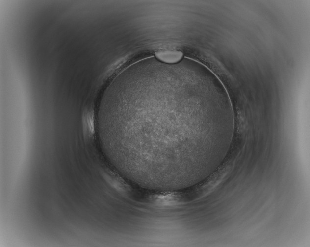 X0000113550068200909181208