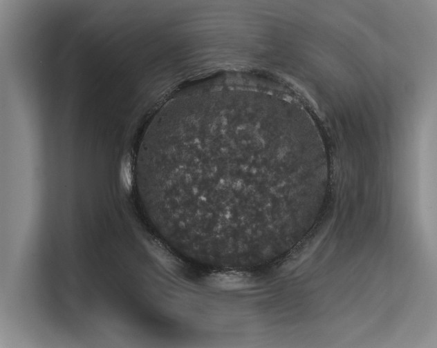 X0000113550069200909181208