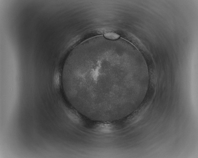 X0000113550071200909181208