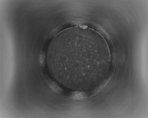 X0000113550073200909181208