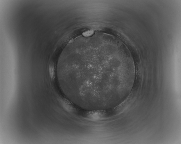 X0000113550074200909181208