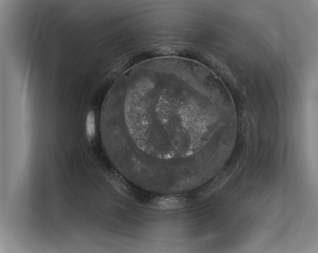 X0000113550075200909181208