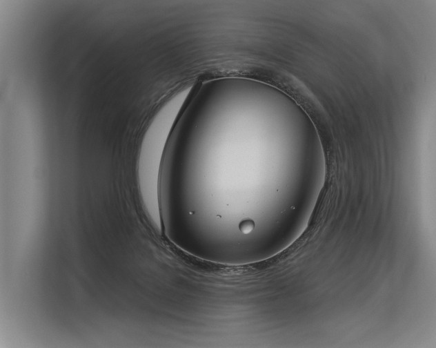 X0000113550076200909181208