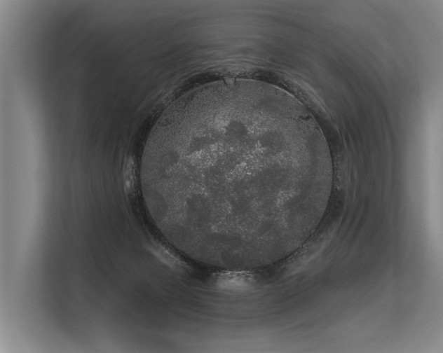 X0000113550077200909181208