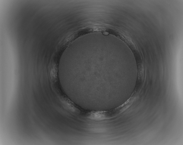 X0000113550078200909181208