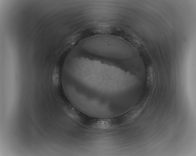 X0000113550080200909181208