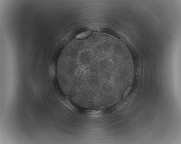 X0000113550081200909181208