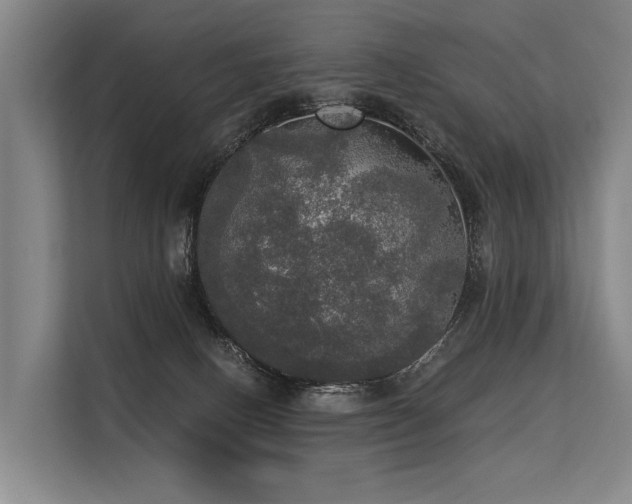 X0000113550082200909181208