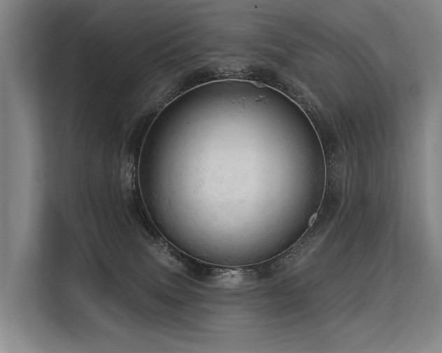 X0000113550083200909181208