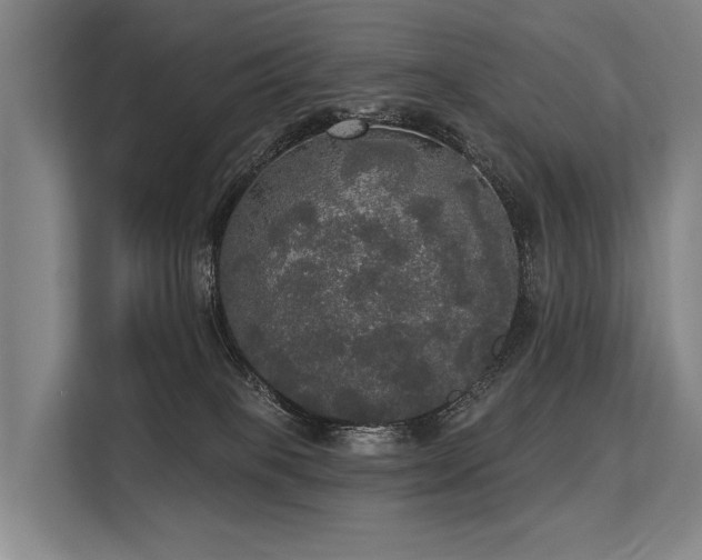 X0000113550085200909181208