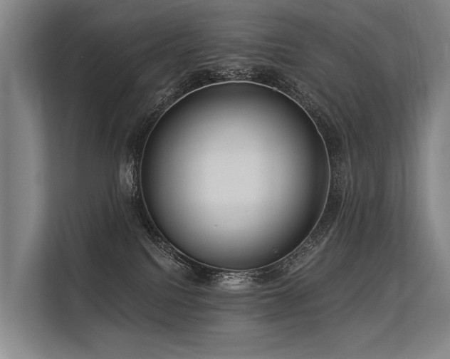 X0000113550088200909181208