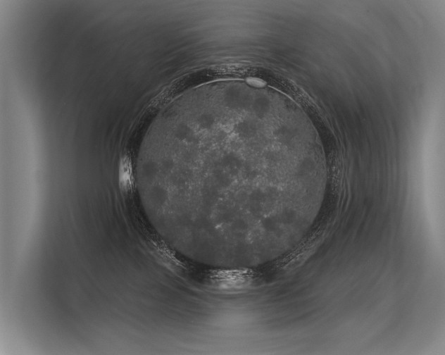 X0000113550089200909181208