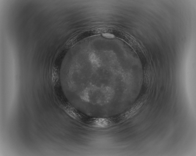 X0000113550091200909181208