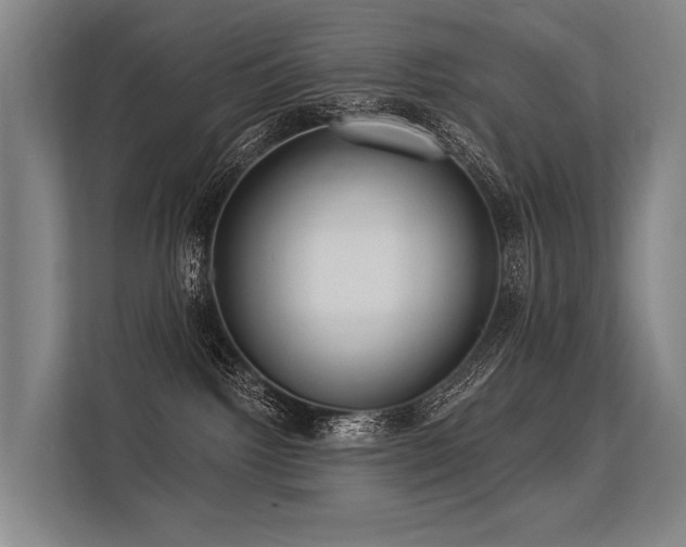 X0000113550092200909181208