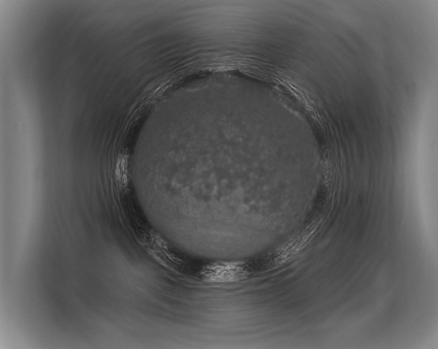 X0000113550093200909181208