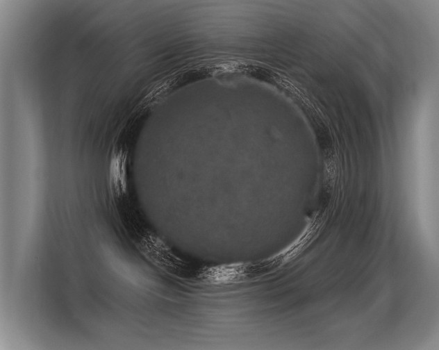 X0000113550094200909181208