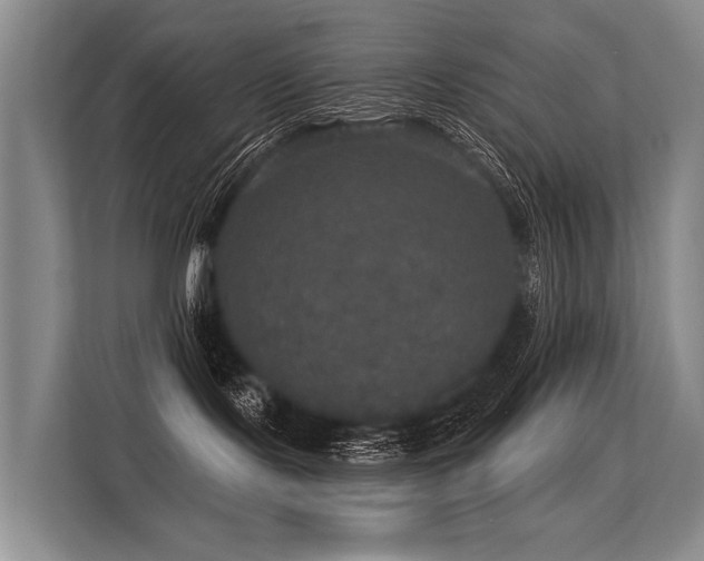 X0000113550095200909181208