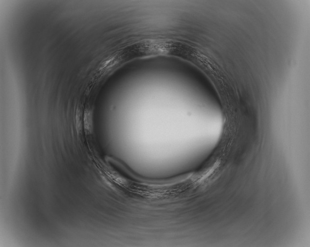 X0000113550096200909181208