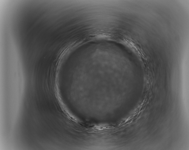 X0000113550097200909181207