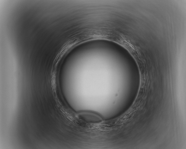 X0000113550098200909181207