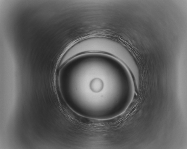 X0000113550100200909181207