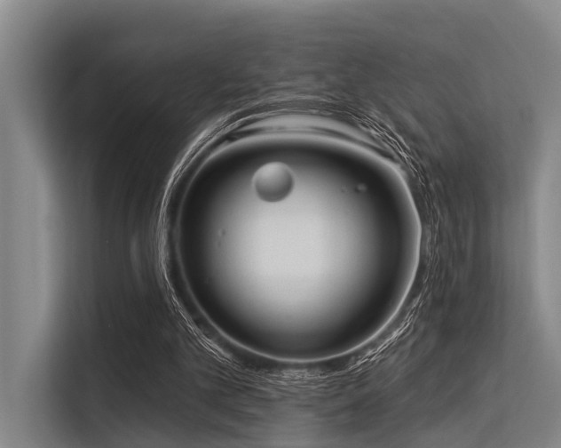 X0000113550101200909181207