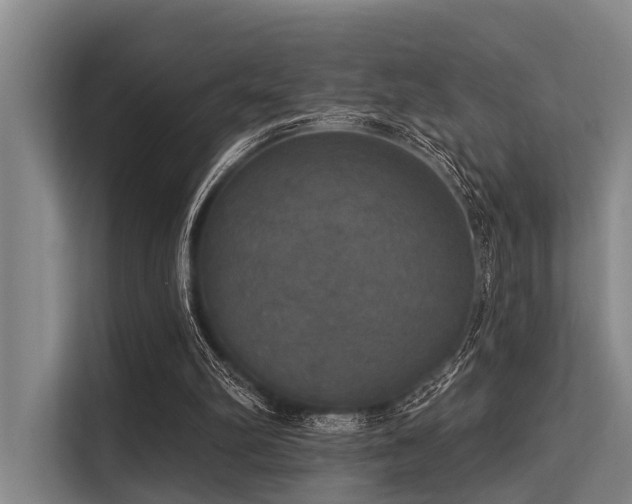 X0000113550102200909181207