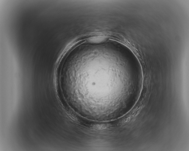 X0000113550103200909181207