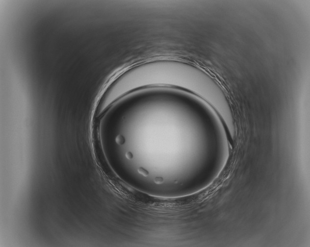 X0000113550104200909181207