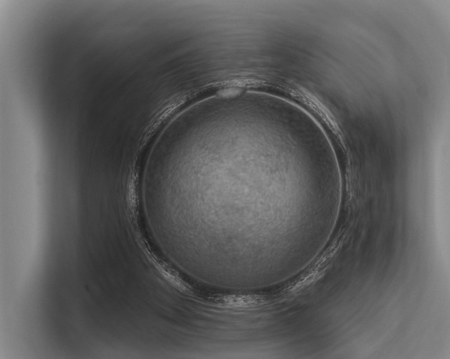 X0000113550105200909181207