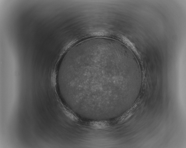 X0000113550106200909181207