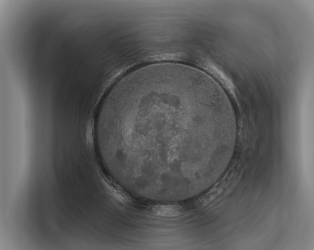 X0000113550107200909181207